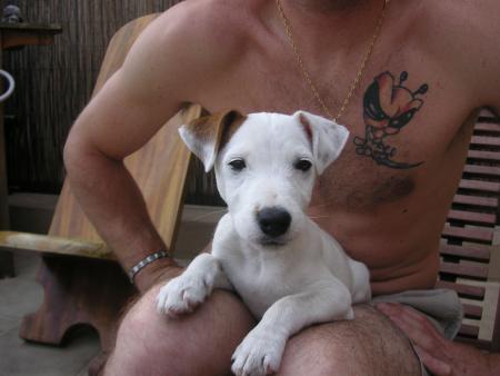 Cooper